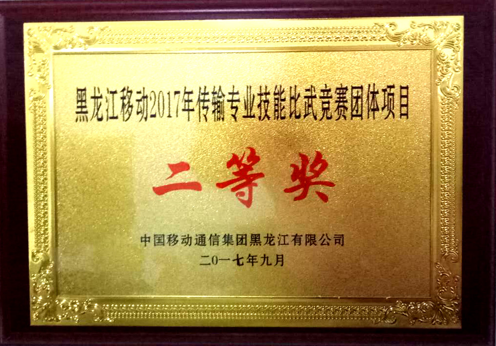 黑龍江移動(dòng)2017年傳輸專業(yè)技能比武一、二等獎(jiǎng)